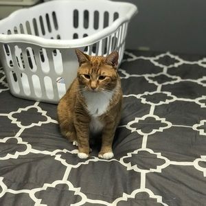 Meet your Posher, Reese